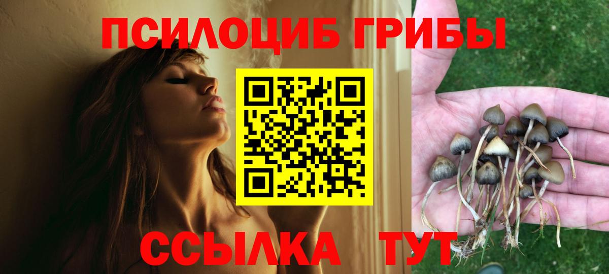 Псилоцибиновые грибы Magic Shrooms Тавда