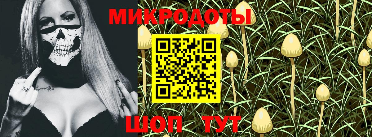 Псилоцибиновые грибы мухоморы  Вход с VPN  Тавда  Псилоцибиновые грибы Magic Shrooms 